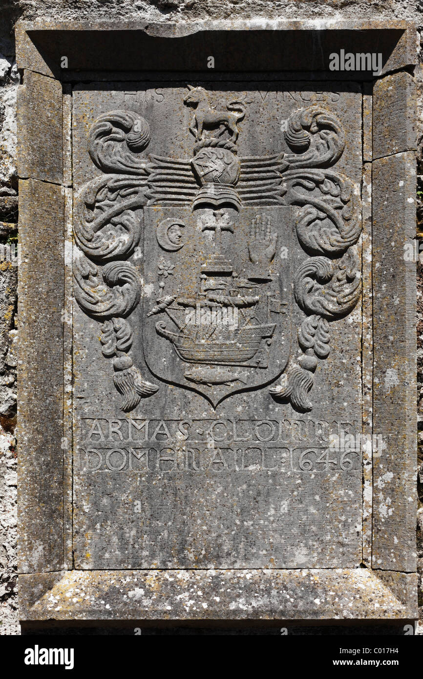 Relief im Kloster-Ruinen, Ross Abbey in der Nähe von Headford, County Galway, Connacht, Republik Irland, Europa Stockfoto