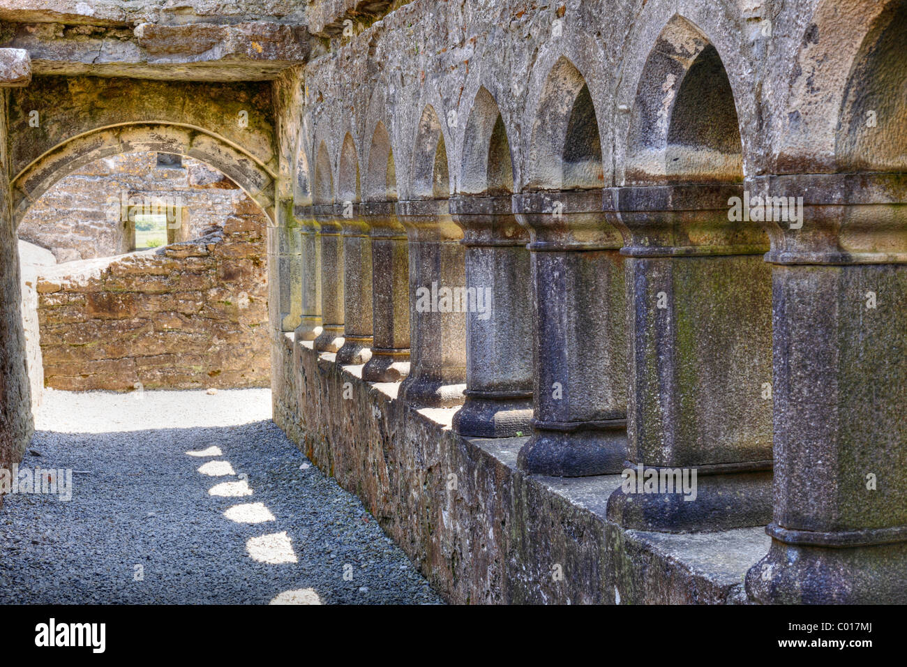 Kreuzgang, Ross Abbey in der Nähe von Headford, County Galway, Connacht, Republik Irland, Europa Stockfoto