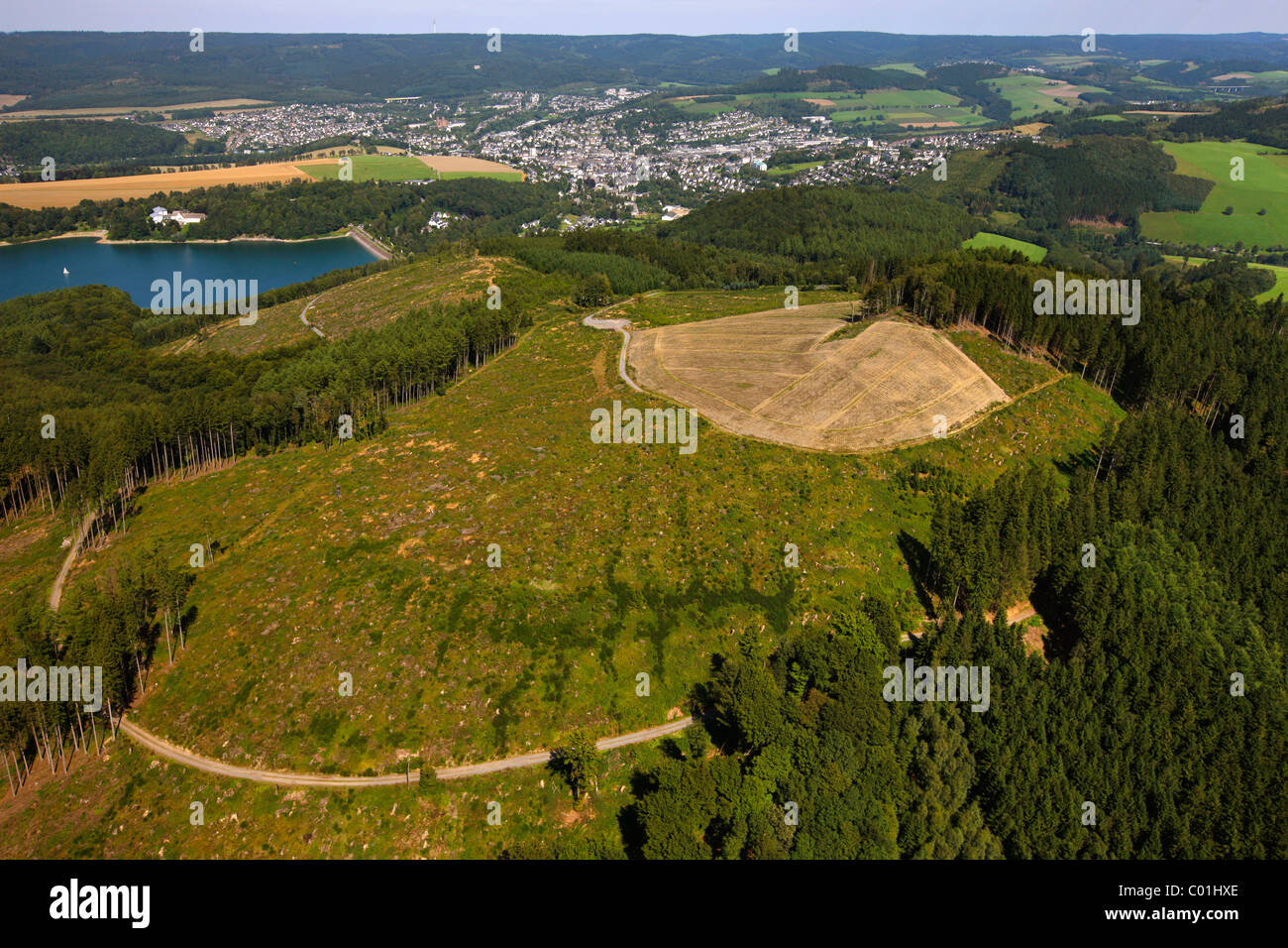 Luftaufnahme, Sturmschäden, die durch den Wirbelsturm Kyrill in der Hennesee See Gebiet, Meschede, Arnsberg, Nordrhein-Westfalen Stockfoto