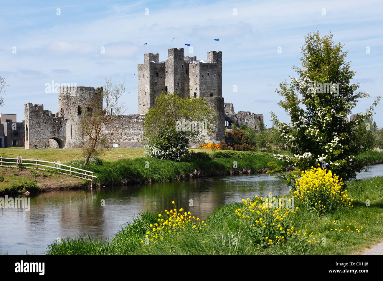 Trim Castle, Fluss Boyne, County Meath, Leinster, Irland, Europa Stockfoto
