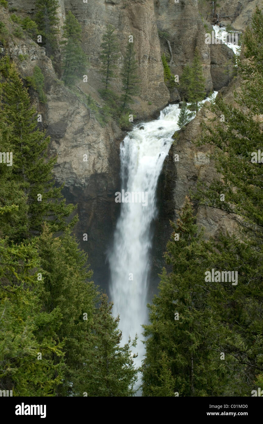 Tower Fall, Yellowstone-Nationalpark, Wyoming, USA, Nordamerika Stockfoto