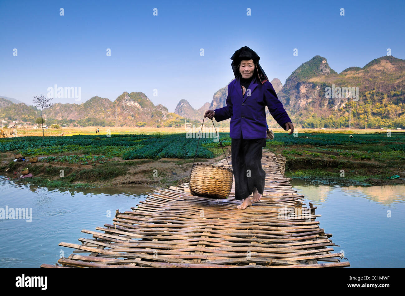 Frau mit einem Korb gewebte Brücke, trockene Halong Bucht, Vietnam, Asien Stockfoto