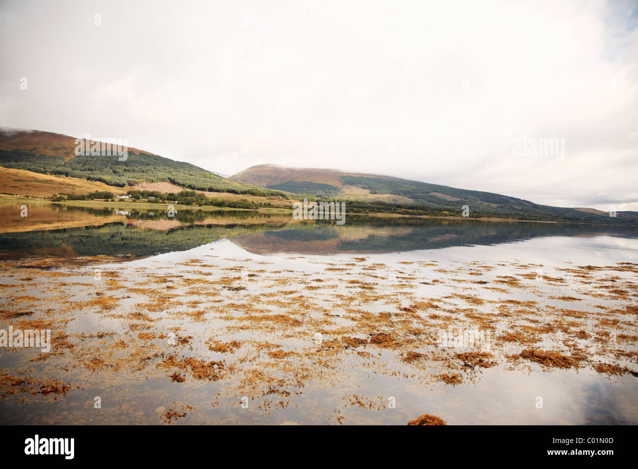 Reflexion der schottischen Berge im See Stockfoto