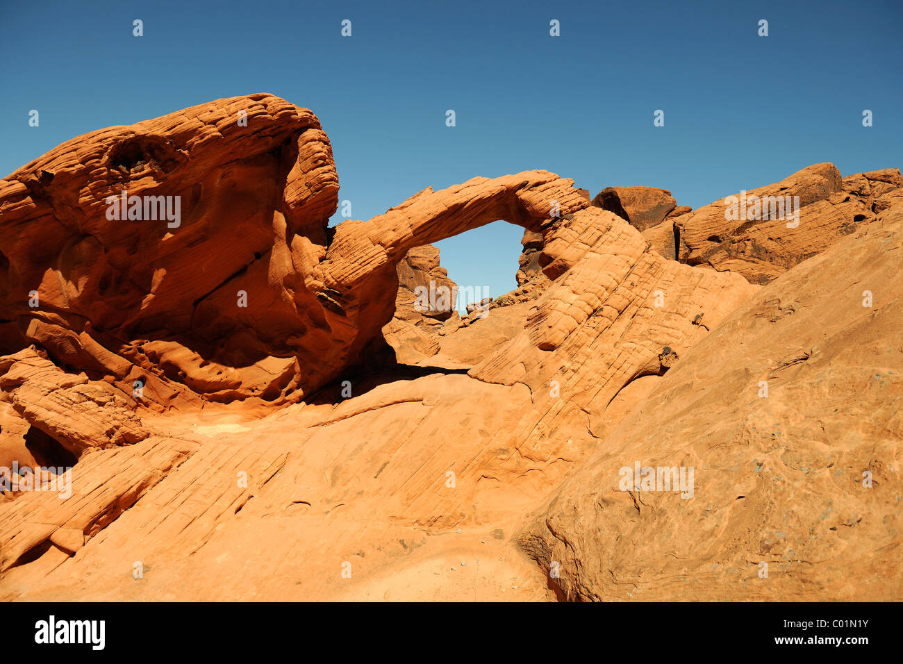 Arch Rock bei Dämmerung, Valley of Fire State Park, Nevada, USA, Nordamerika Stockfoto