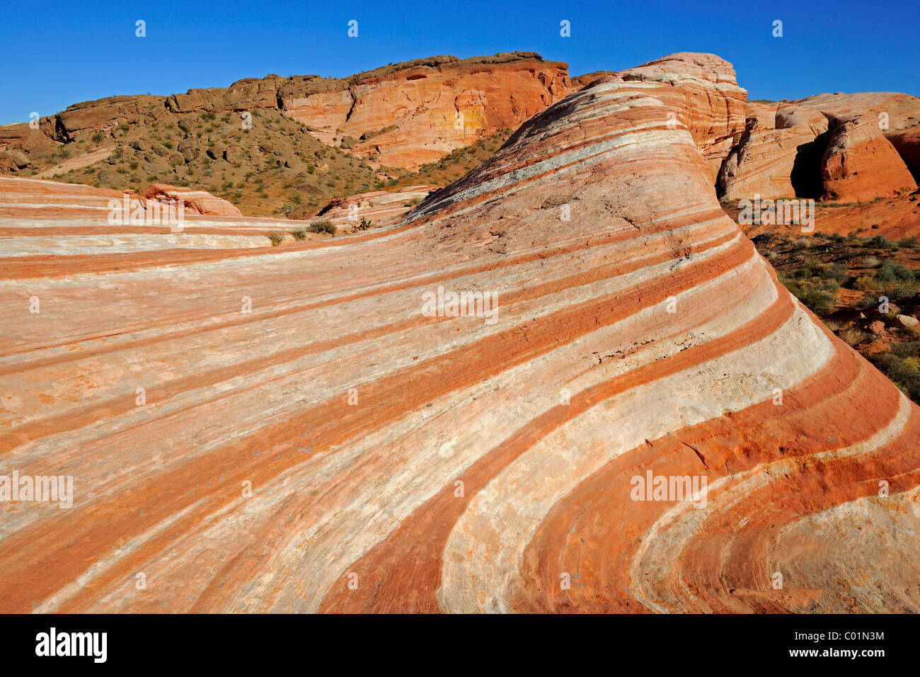 Fire Wave, rock-Formation, Valley of Fire State Park, Nevada, USA, Nordamerika Stockfoto