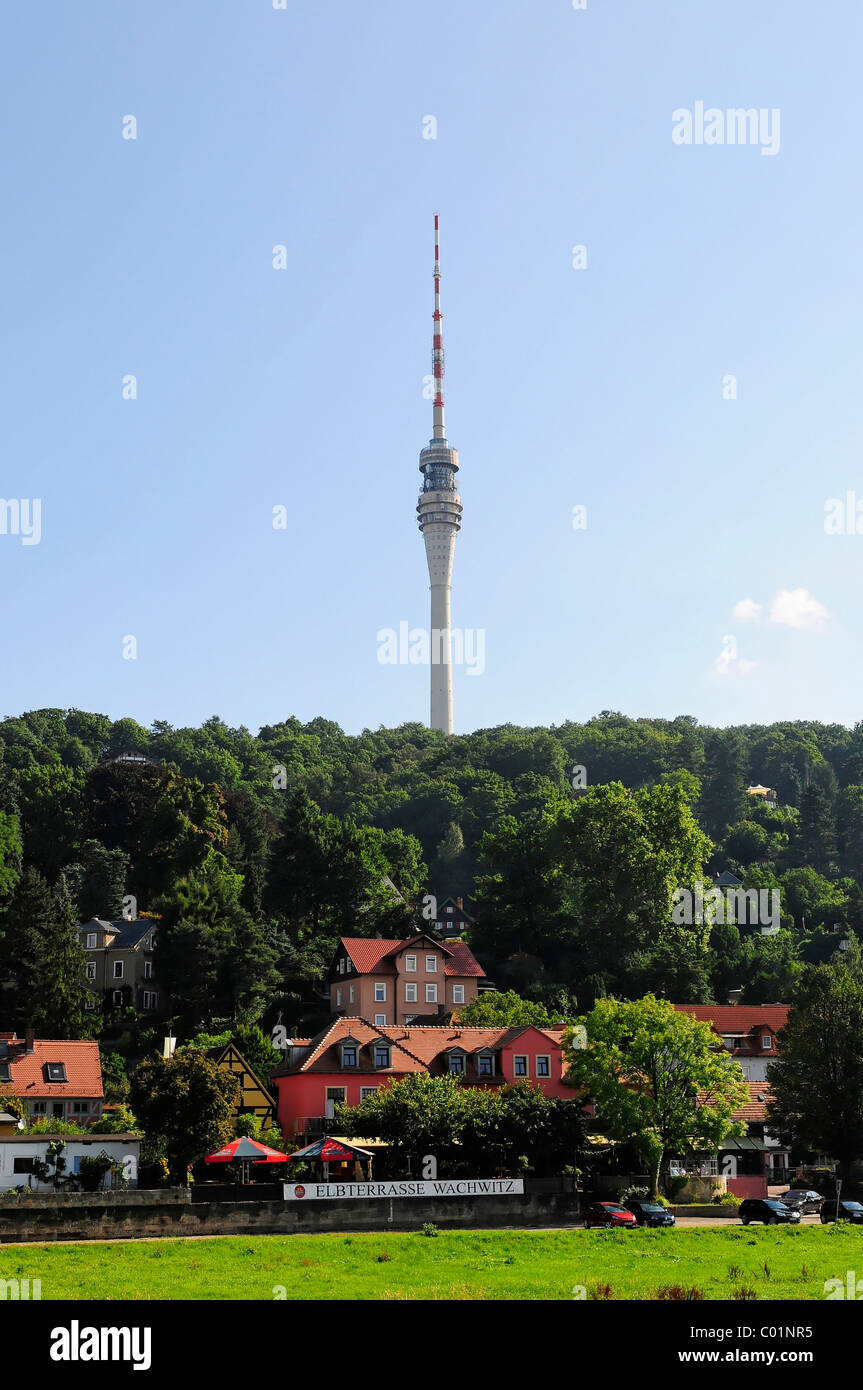 Alte TV-Turm, Wachwitz, 252 m, Dresden, Sachsen, Deutschland, Europa Stockfoto