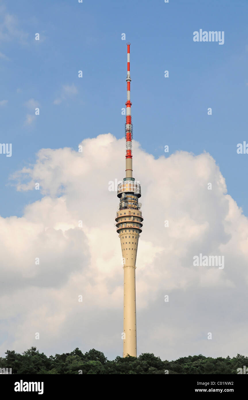 Alten Fernsehturm in Wachwitz, 252m hoch, Dresden, Sachsen, Deutschland, Europa Stockfoto