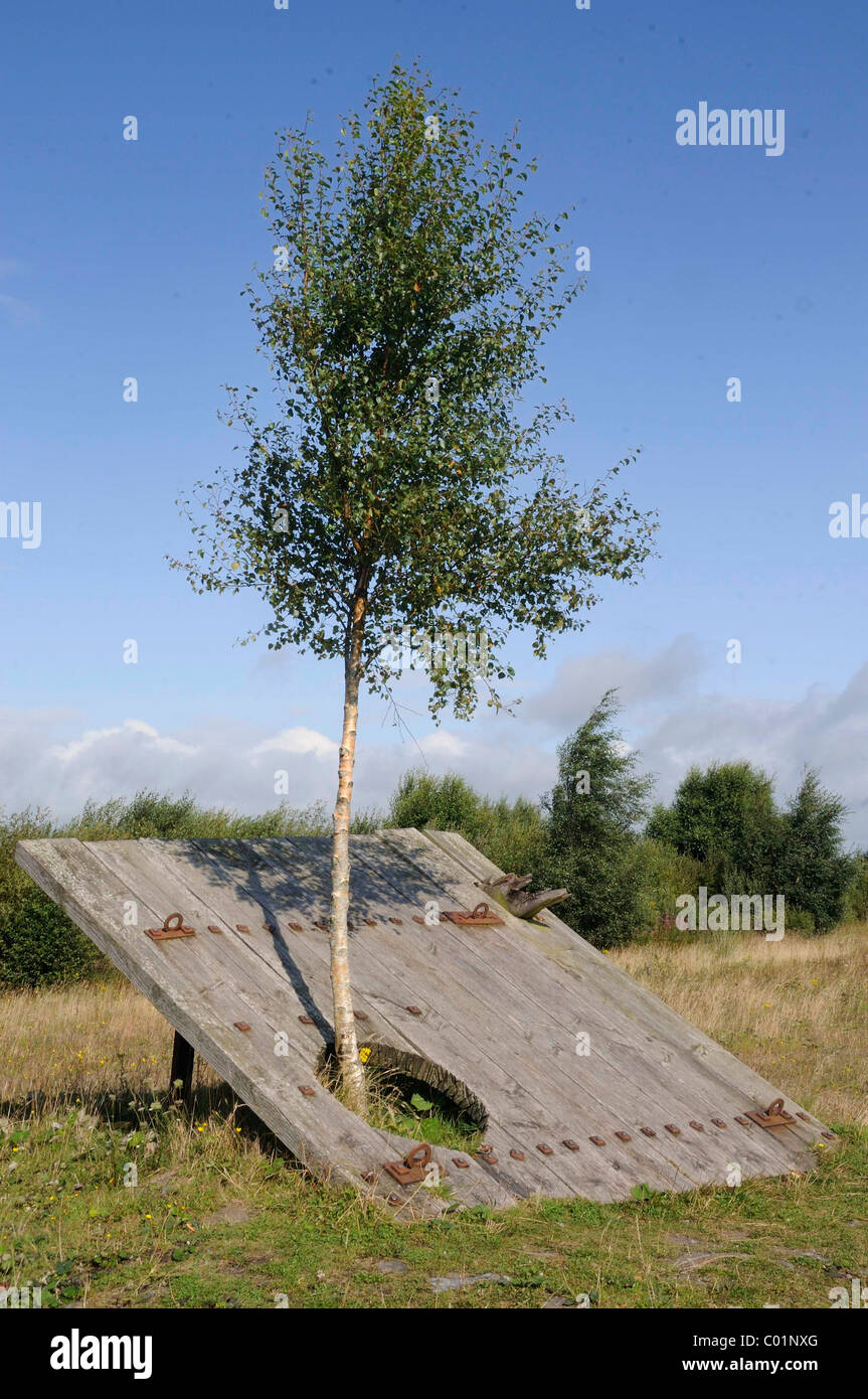 Baum wächst in eine Skulptur von Naomi Seki aus Japan, Lough Boora Parklands mit Skulpturenpark, unterstützt von der Europäischen Union Stockfoto