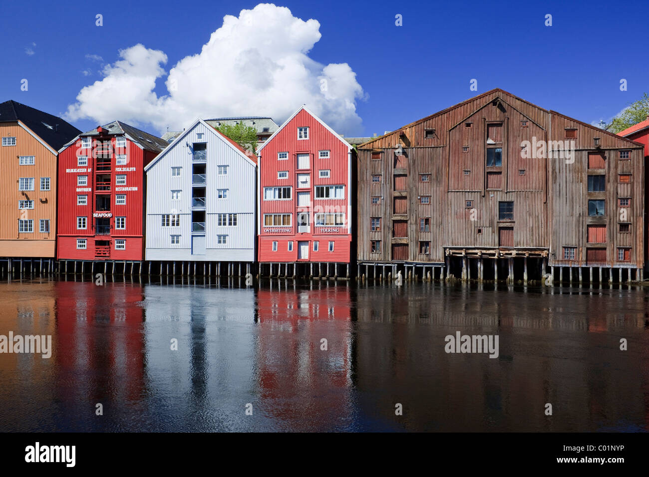 Bunte hölzerne Häuser auf Stelzen über die Nidelv Fluss, Trondheim, Norwegen, Skandinavien, Europa Stockfoto