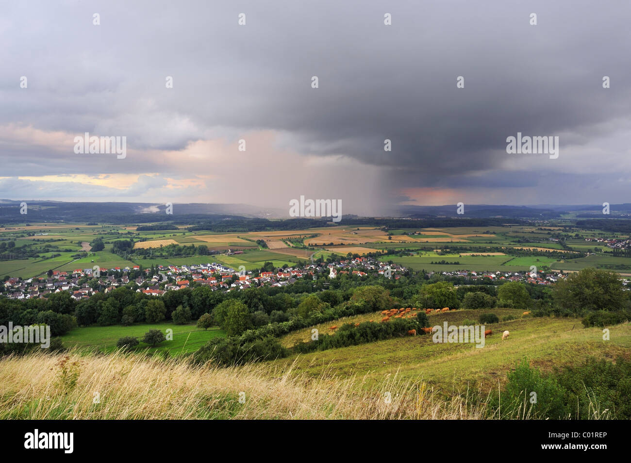 Regionale Starkregen über die Hegau-Region in Front Mühlhausen-Ehingen Dorf, Gemeinde Landkreis Konstanz, Baden-Württemberg Stockfoto