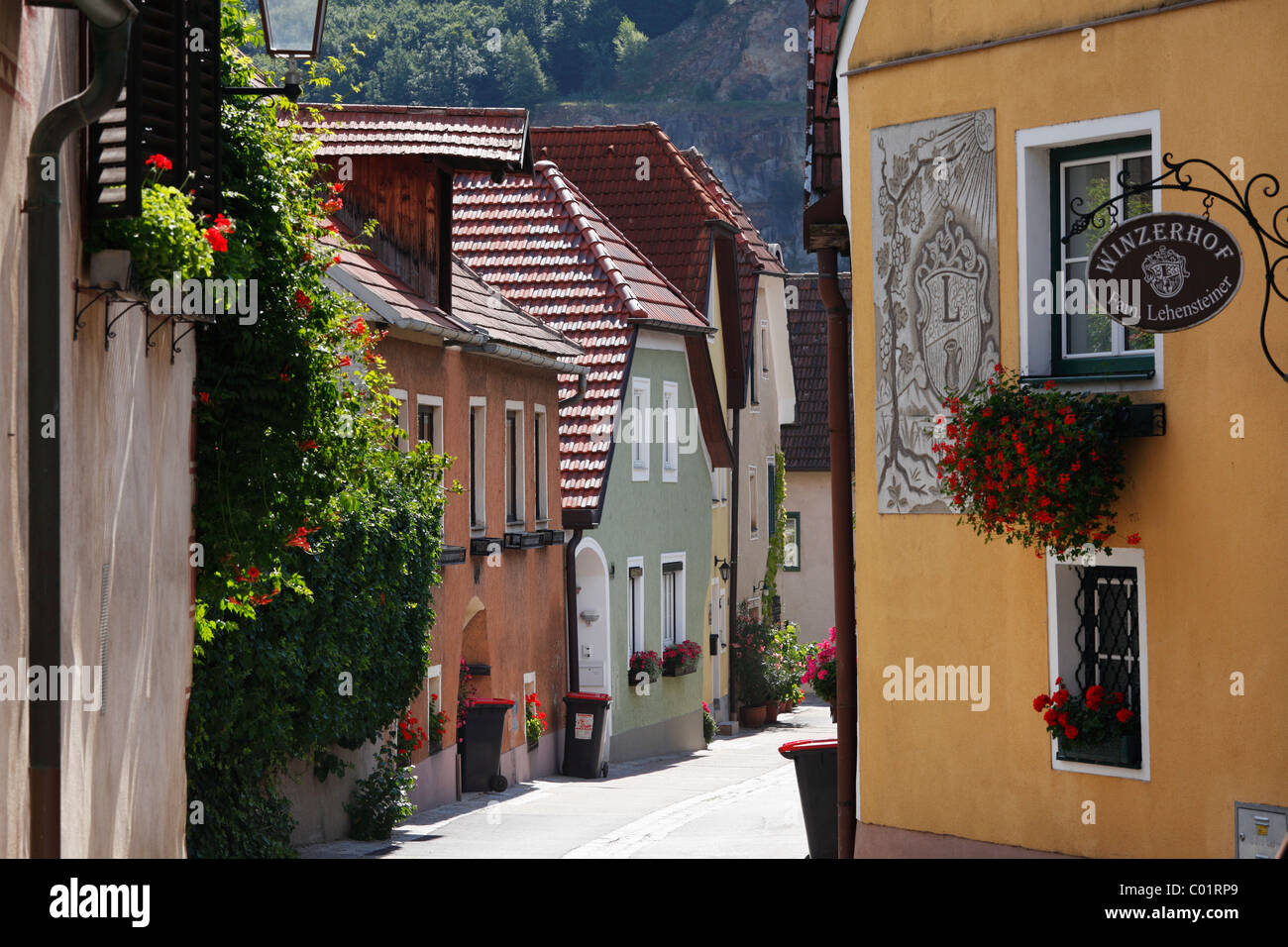 Joching, Wachau Valley, Region Waldviertel, Niederösterreich, Österreich Stockfoto