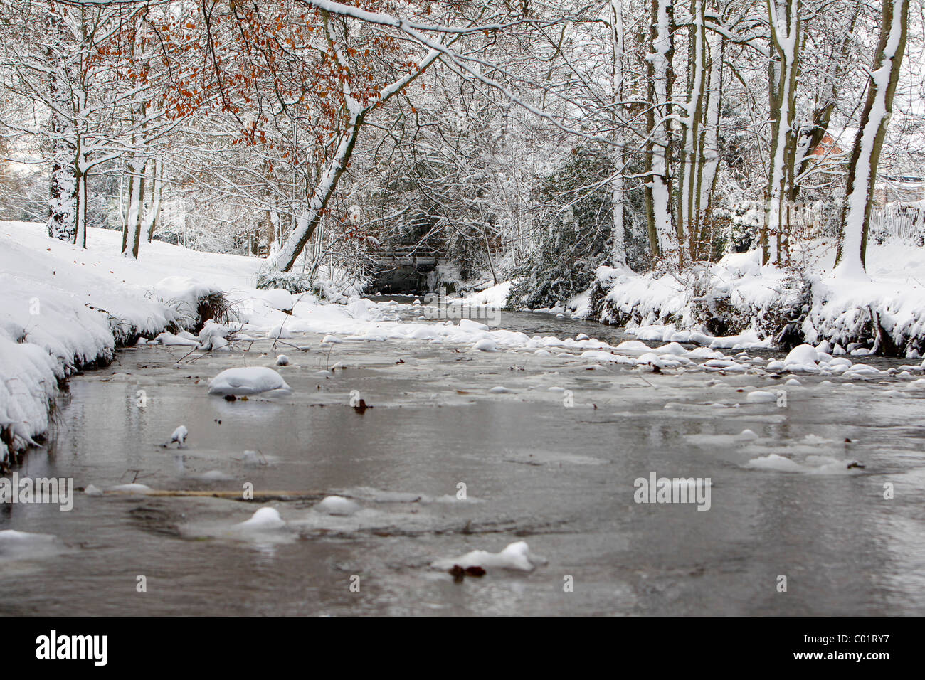 Eine winterliche Flusslandschaft in Devon Stockfoto