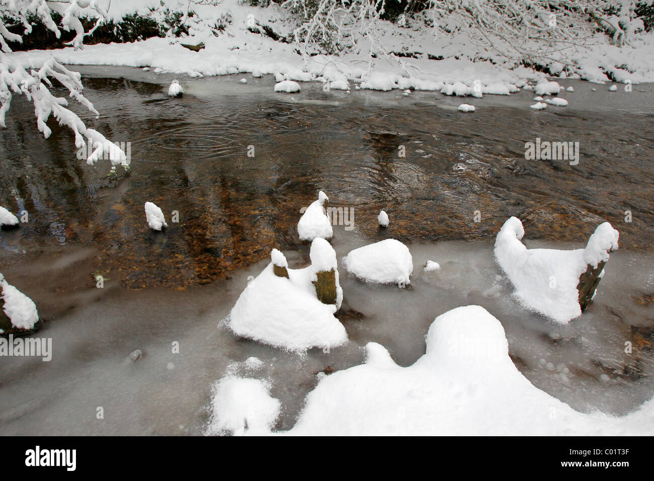 Eine winterliche Flusslandschaft in Devon Stockfoto