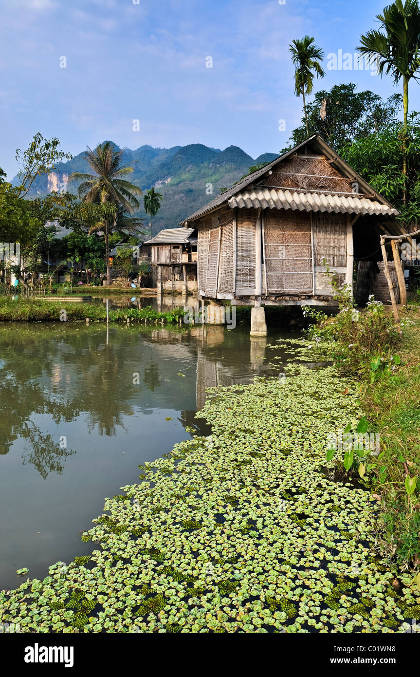 Mai Chau, einem Dorf, wo ethnische Minderheiten, Vietnam, Südostasien Leben Stockfoto