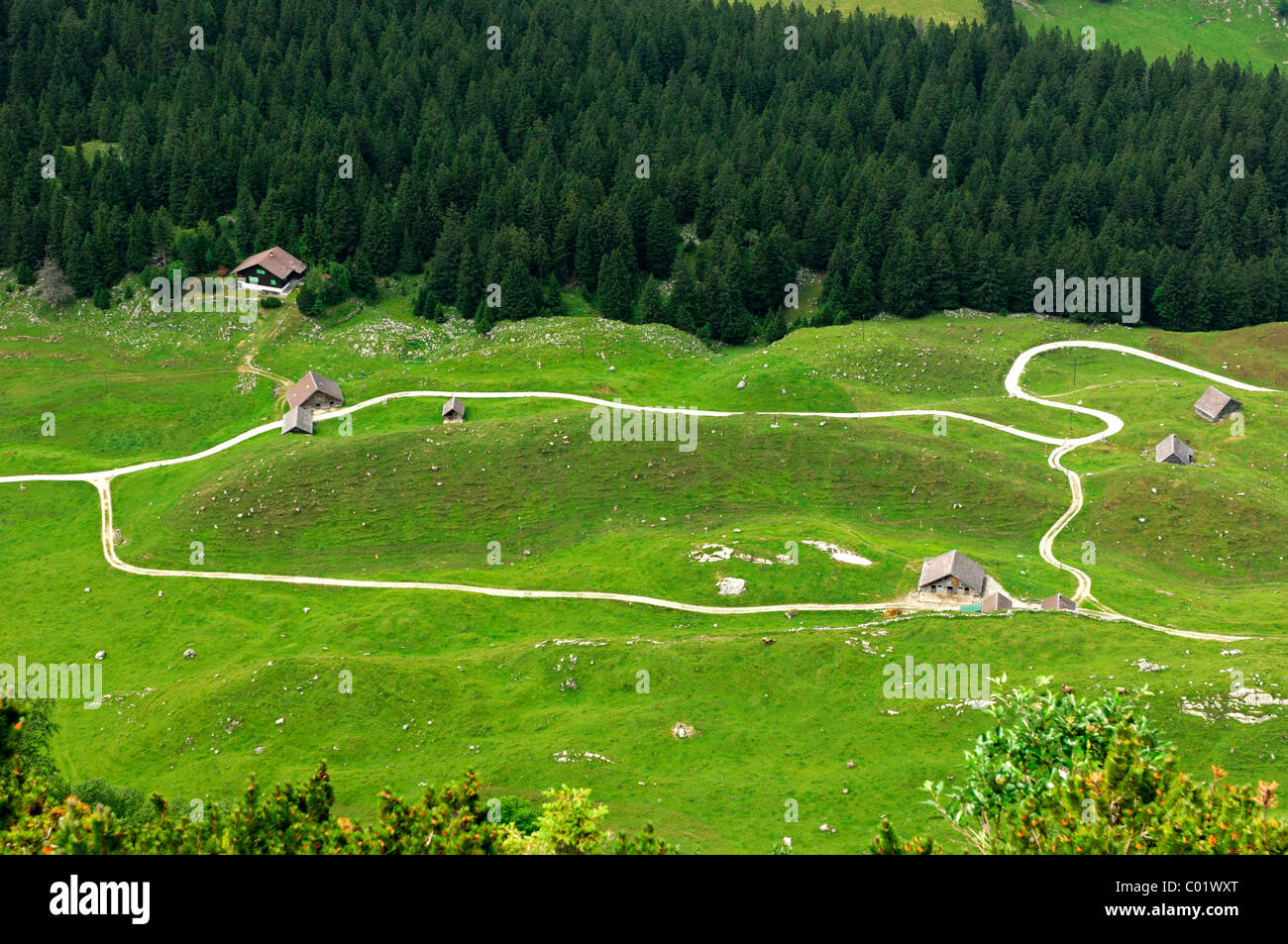 Rundwanderweg, Wanderwege in der Alpstein Bergkette, Kanton Appenzell Rhodes, Innerschweiz, Europa Stockfoto