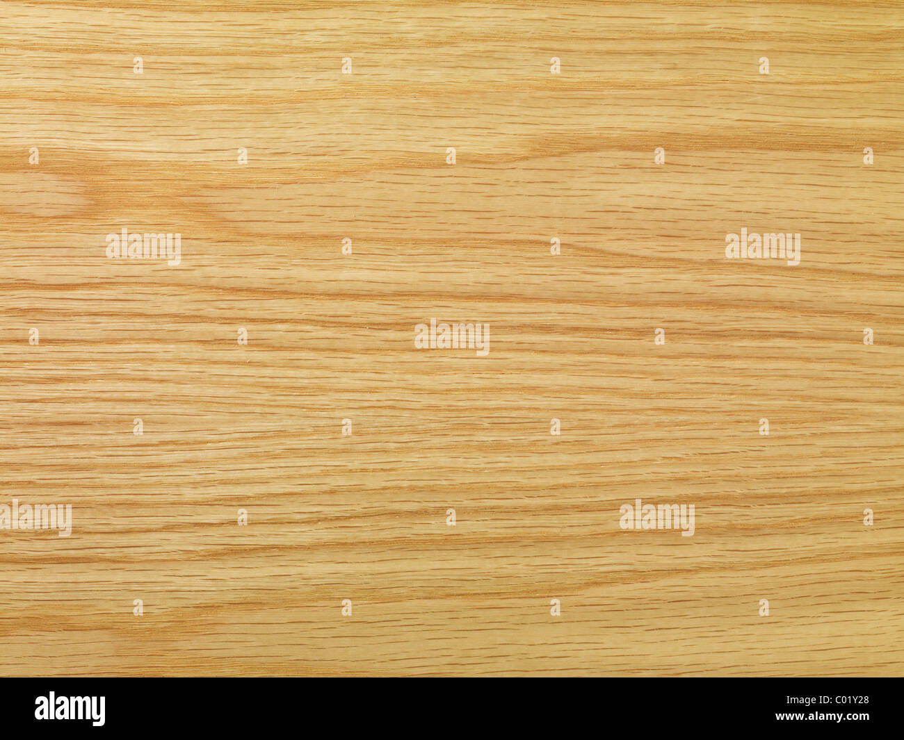 helle Eiche Holz Oberfläche Holzmaserung Stockfoto