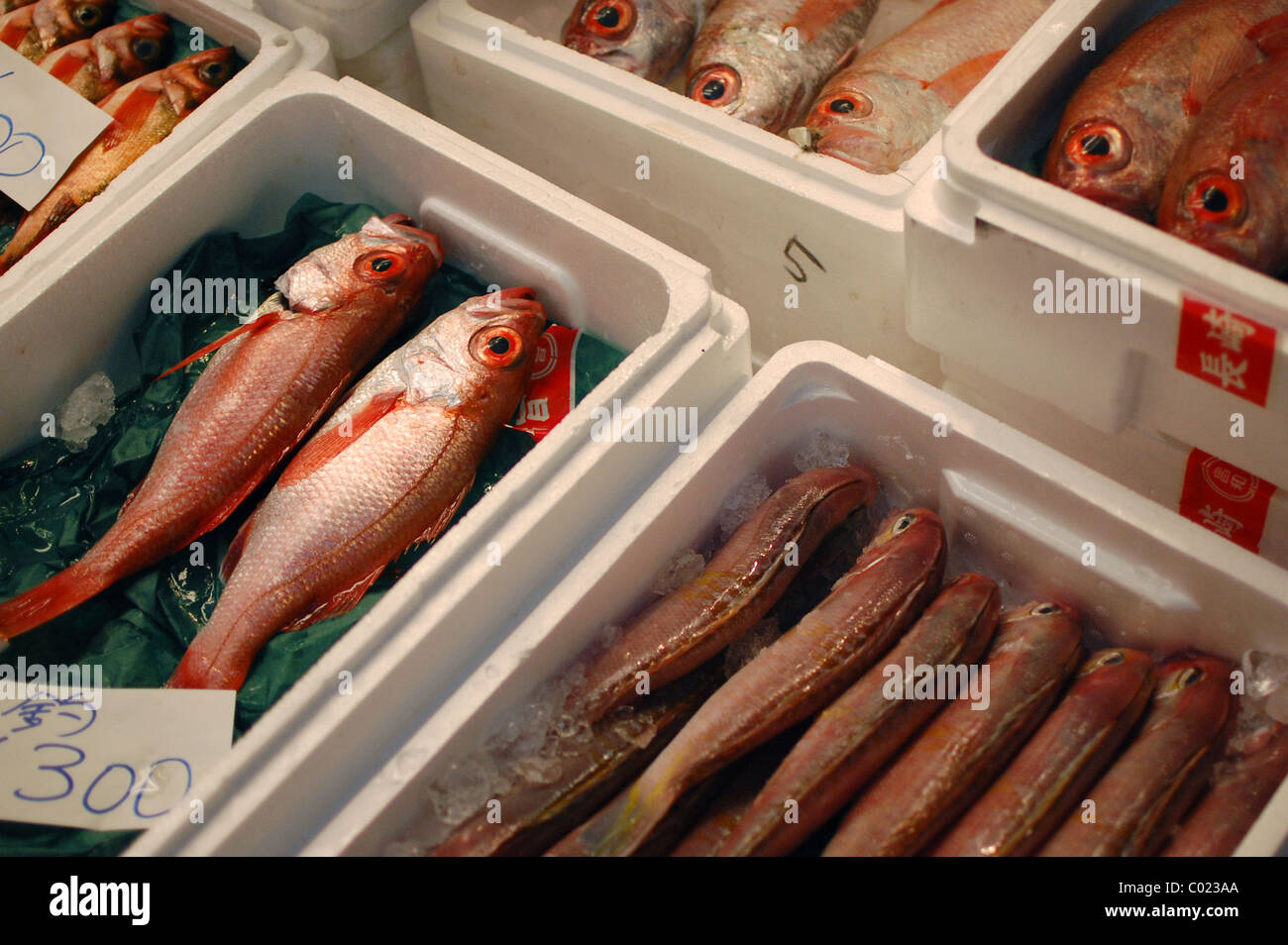 Kisten mit Fisch zum Verkauf am Tsukiji-Fischmarkt, Tokyo, Japan Stockfoto