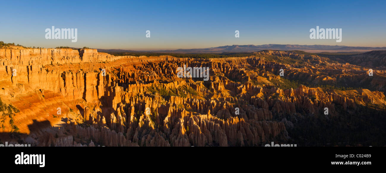 Panorama der Hoodoos Claron Formation, Bryce Ampitheater, Bryce-Canyon-Nationalpark, Utah, USA Stockfoto