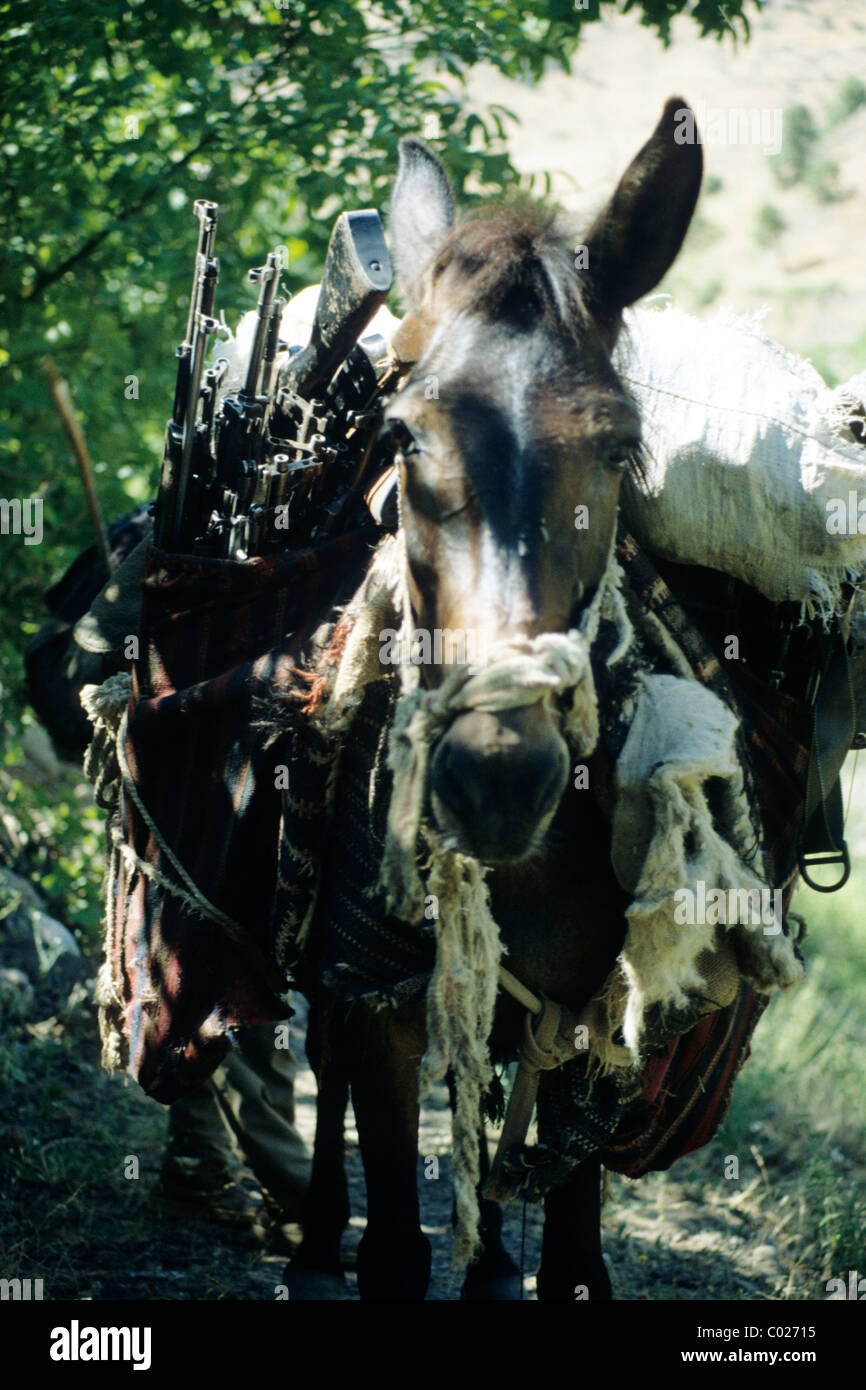 Iranisch-irakischen Grenze, Schmuggler Route in Irakisch-Kurdistan. Pferden-Wohnwagen-Carry-Versorgungsmaterialien, Waffe und Handel Stockfoto