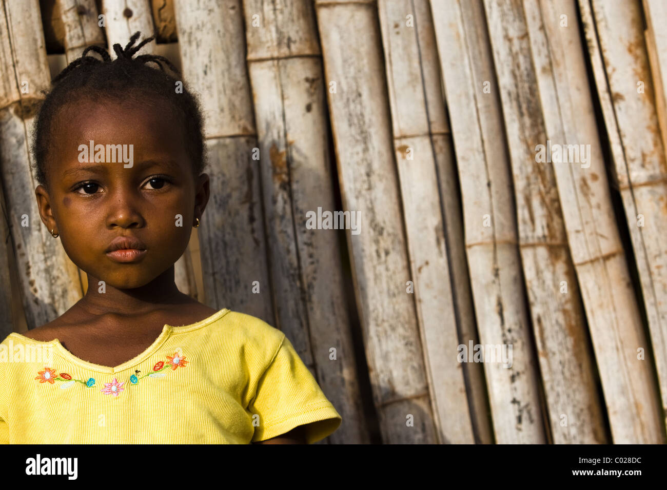 Ein junges Mädchen steht eine Bambus-Wand in Makeni, Sierra Leone auf Mittwoch, 25. Februar 2009. Stockfoto