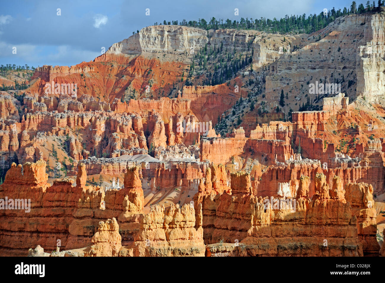 Felsformationen und Hoodoos in den Morgen, Sunrise Point, Bryce-Canyon-Nationalpark, Utah, USA, Amerika Stockfoto