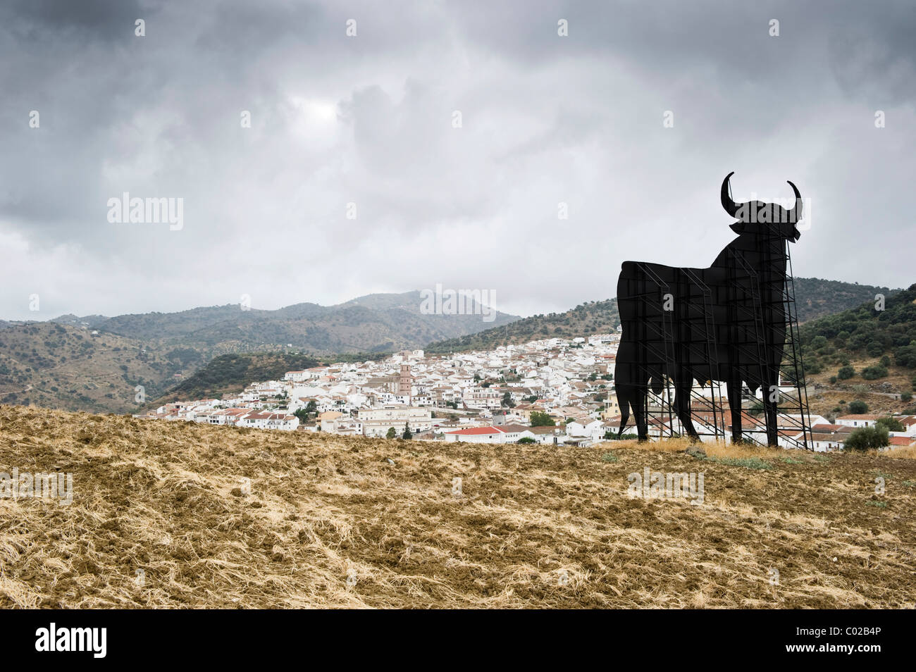 Osborne-Stier in der Nähe von Antequera, Andalusien, Spanien, Europa Stockfoto