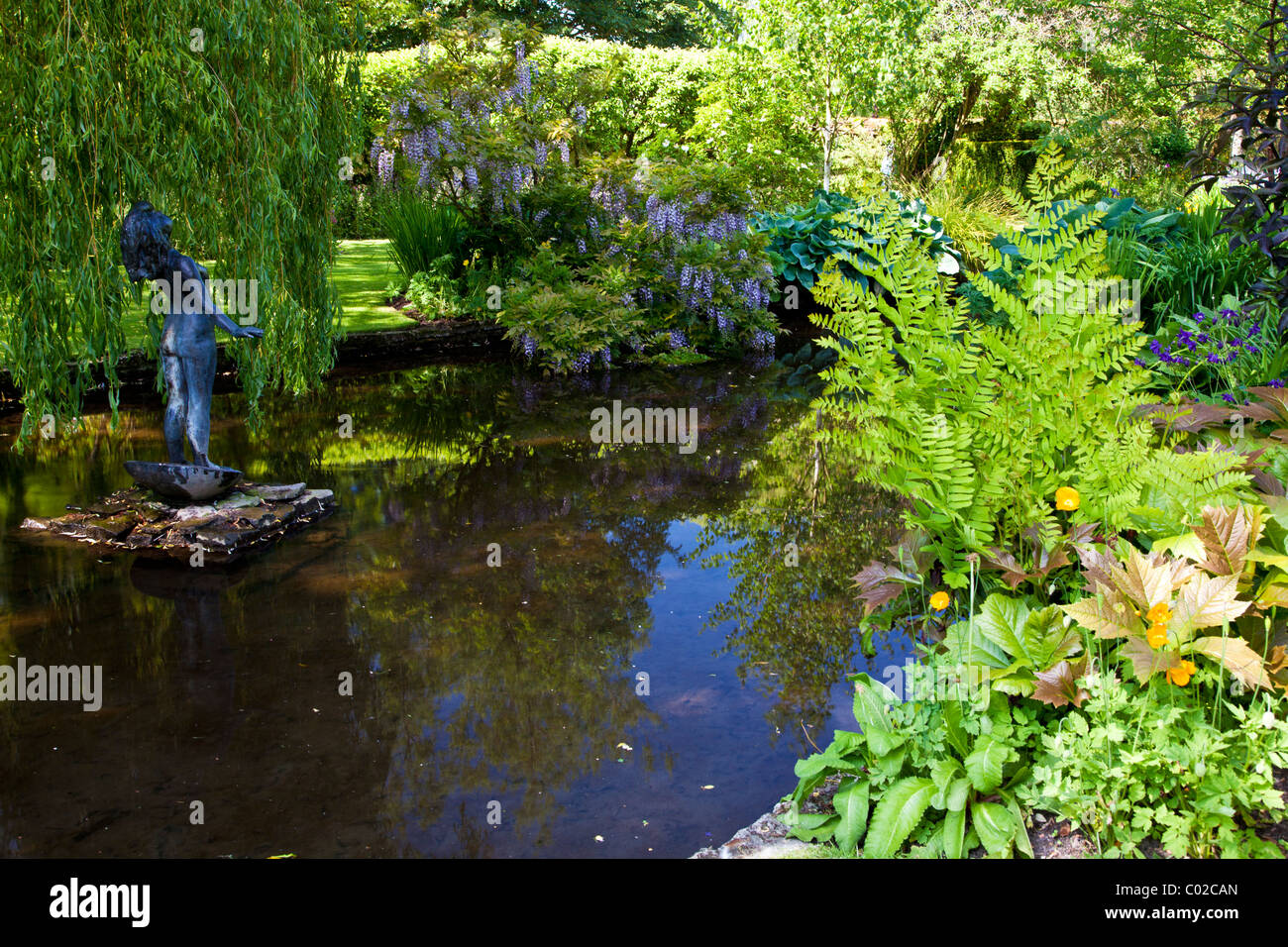 Ein Zierteich Garten in einem englischen Landhaus-Garten mit Statue, Farne und einer Trauerweide. Stockfoto