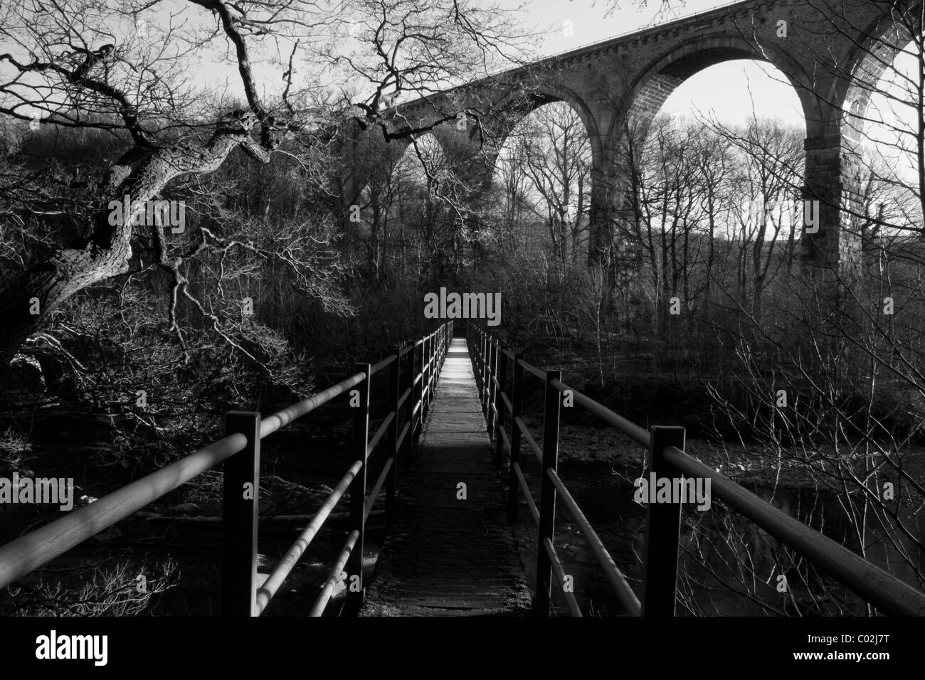 Fußgängerbrücke über den Fluss South Tyne neben Lambley Viadukt im winter Stockfoto