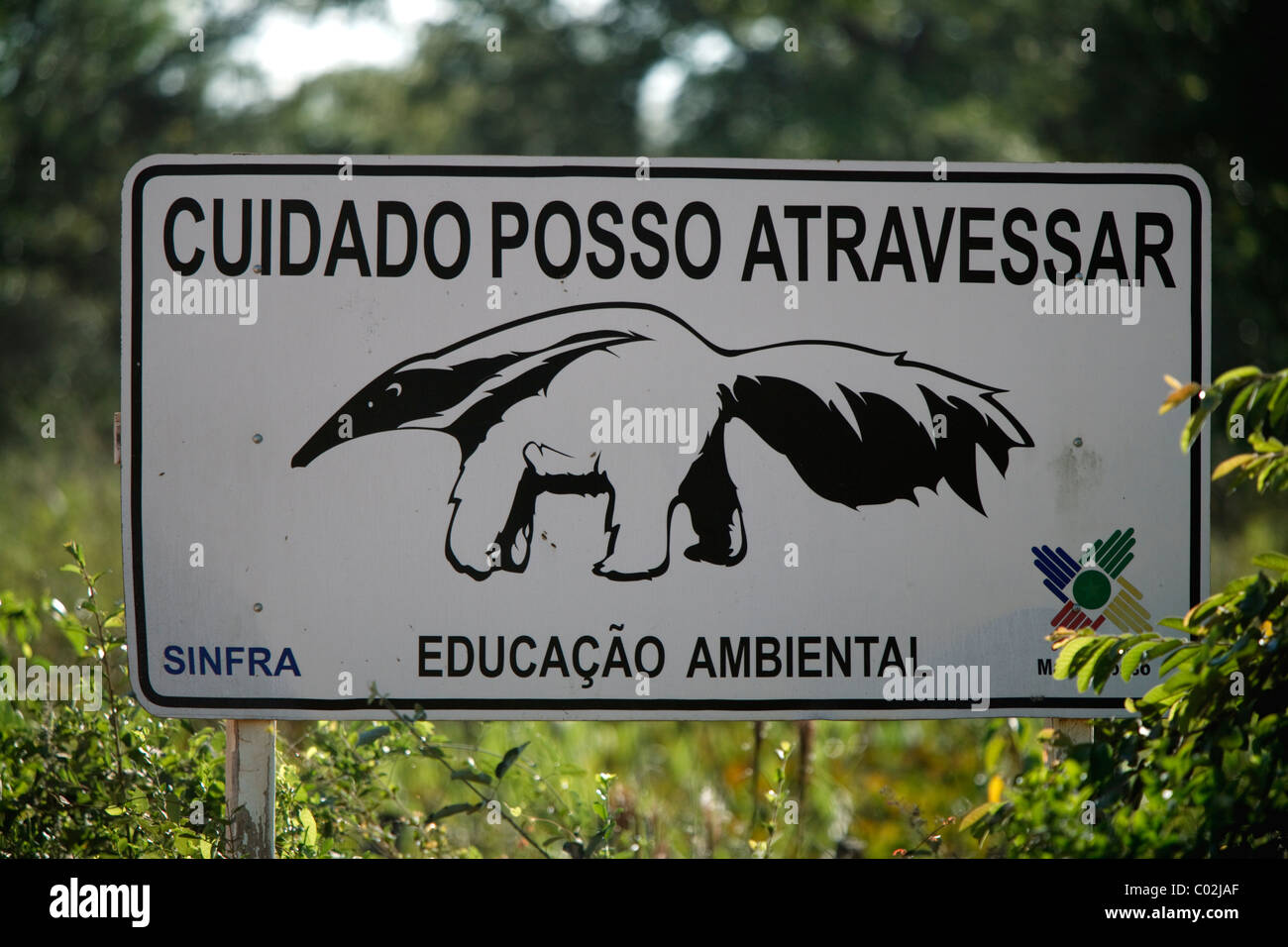 Straßenschild, großer Ameisenbär (Myrmecophaga Tridactyla), Transpantaneira Straße, Feuchtgebiet Pantanal, Brasilien, Südamerika Stockfoto