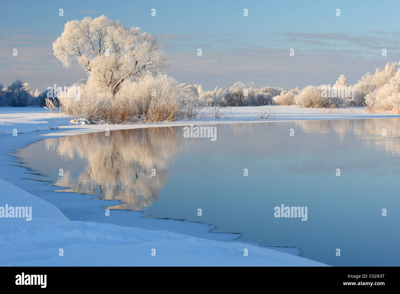 Frost bedeckt Weide am Fluss Emajõgi. Europa, Estland Stockfoto