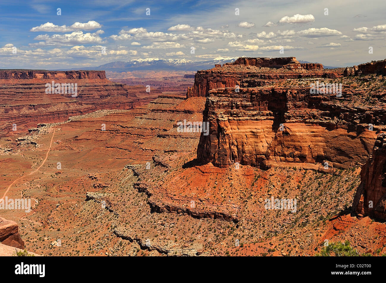 Canyonlands Nationalpark, Insel im Himmel, White Rim Trail, Utah, in der Nähe von Moab, USA Stockfoto