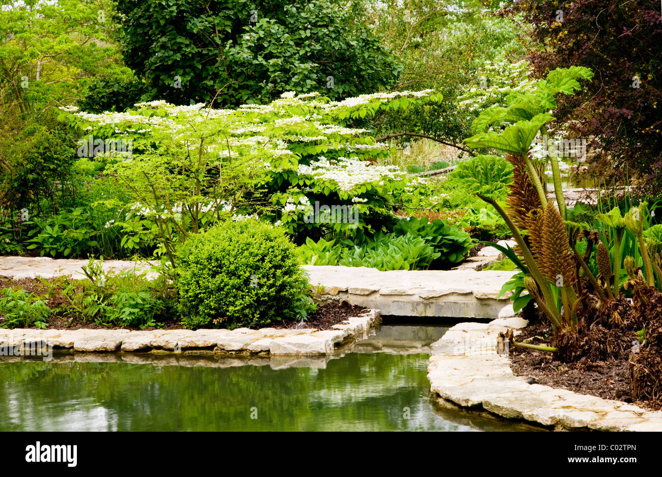 Die schöne Wassergärten in den Gerichten Gärten, Holt, Wiltshire, England, UK Stockfoto
