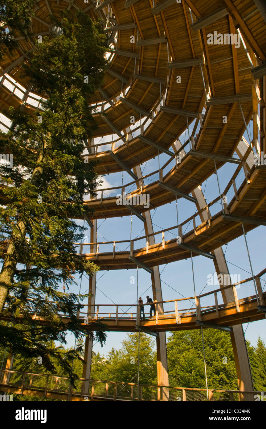 Baum-Plattform, 44 Meter hoch, die weltweit längste Tree Top Spaziergang, barrierefreie Spiralform, Neuschoenau Stockfoto