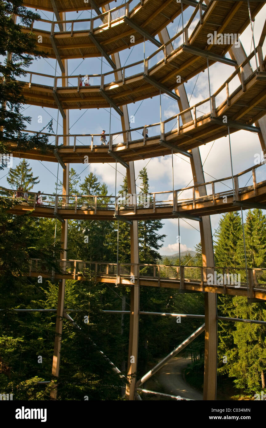 Baum-Plattform, 44 Meter hoch, die weltweit längste Tree Top Spaziergang, barrierefreie Spiralform, Neuschoenau Stockfoto