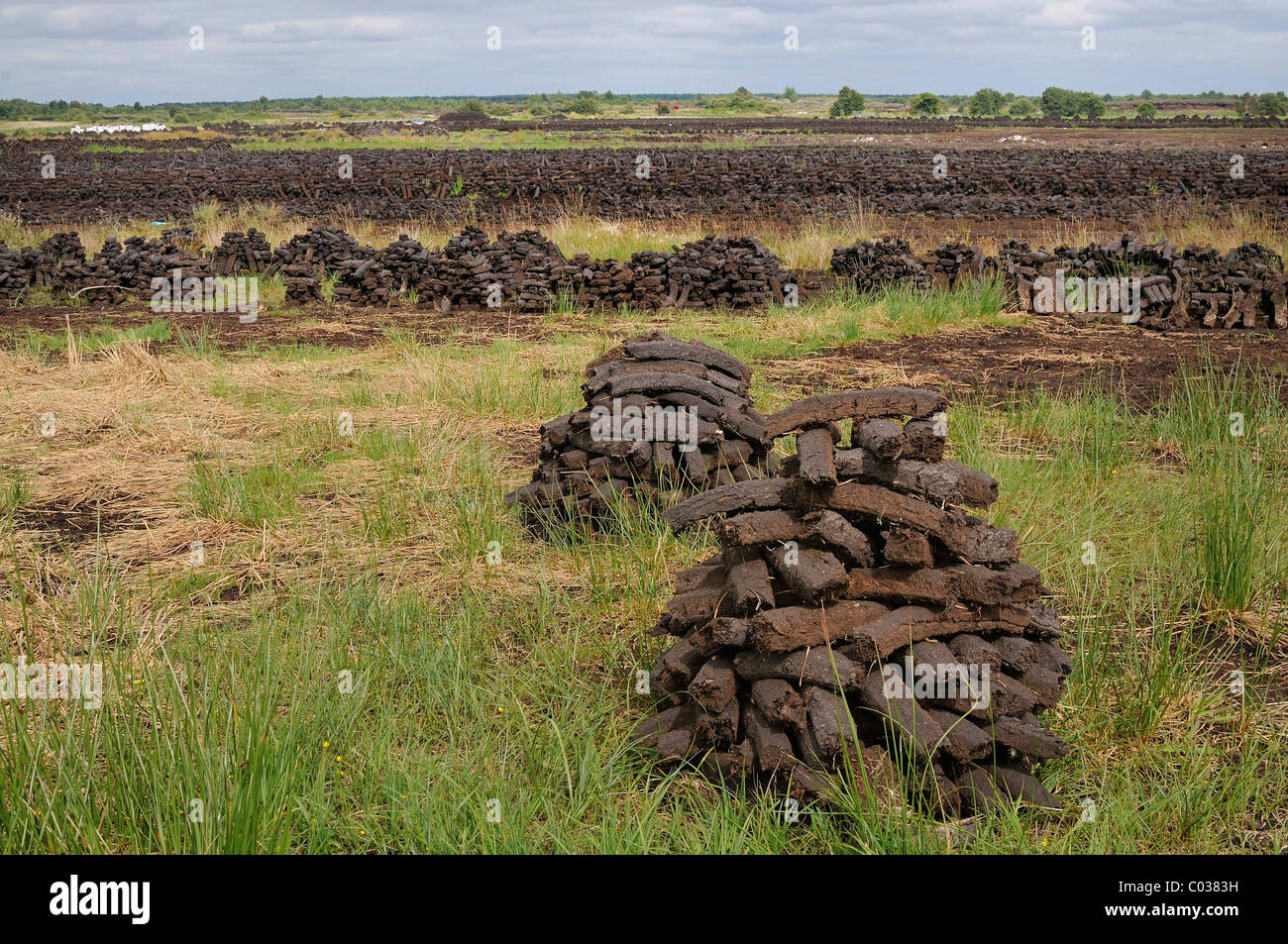 Torf Briketts für Kraftstoff in privaten Haushalten genutzt werden von den Bürgern selbst, Birr, Leinster, Irland, Europa getrocknet. Stockfoto