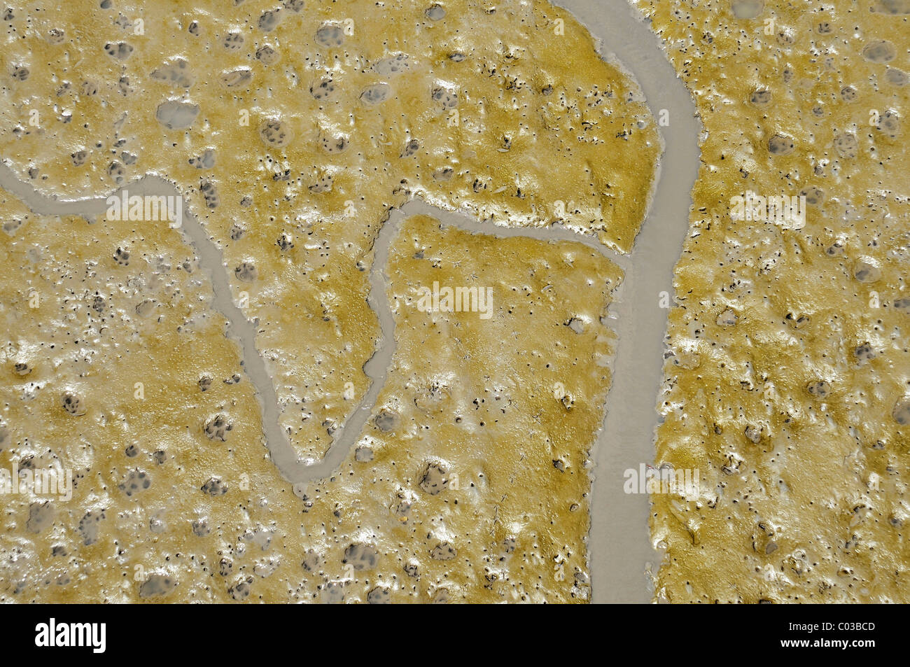 Tierspuren und Entwässerungsrinnen im Wattenmeer, Mangroven Küste in Buenaventura, Kolumbien, Südamerika Stockfoto
