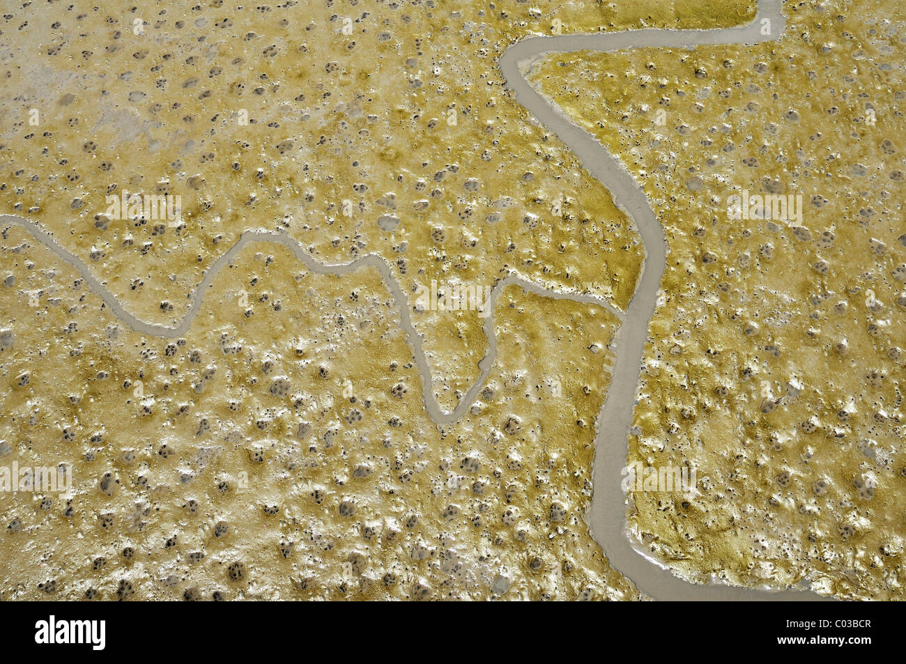 Tierspuren und Entwässerungsrinnen im Wattenmeer, Mangroven Küste in Buenaventura, Kolumbien, Südamerika Stockfoto