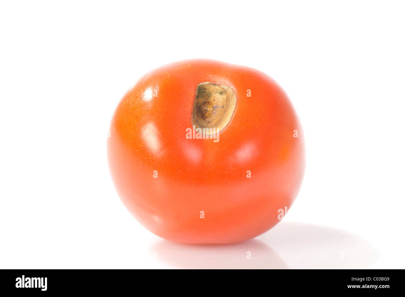 Tomaten mit einer Krankheit verursacht es zu verrotten Stockfoto