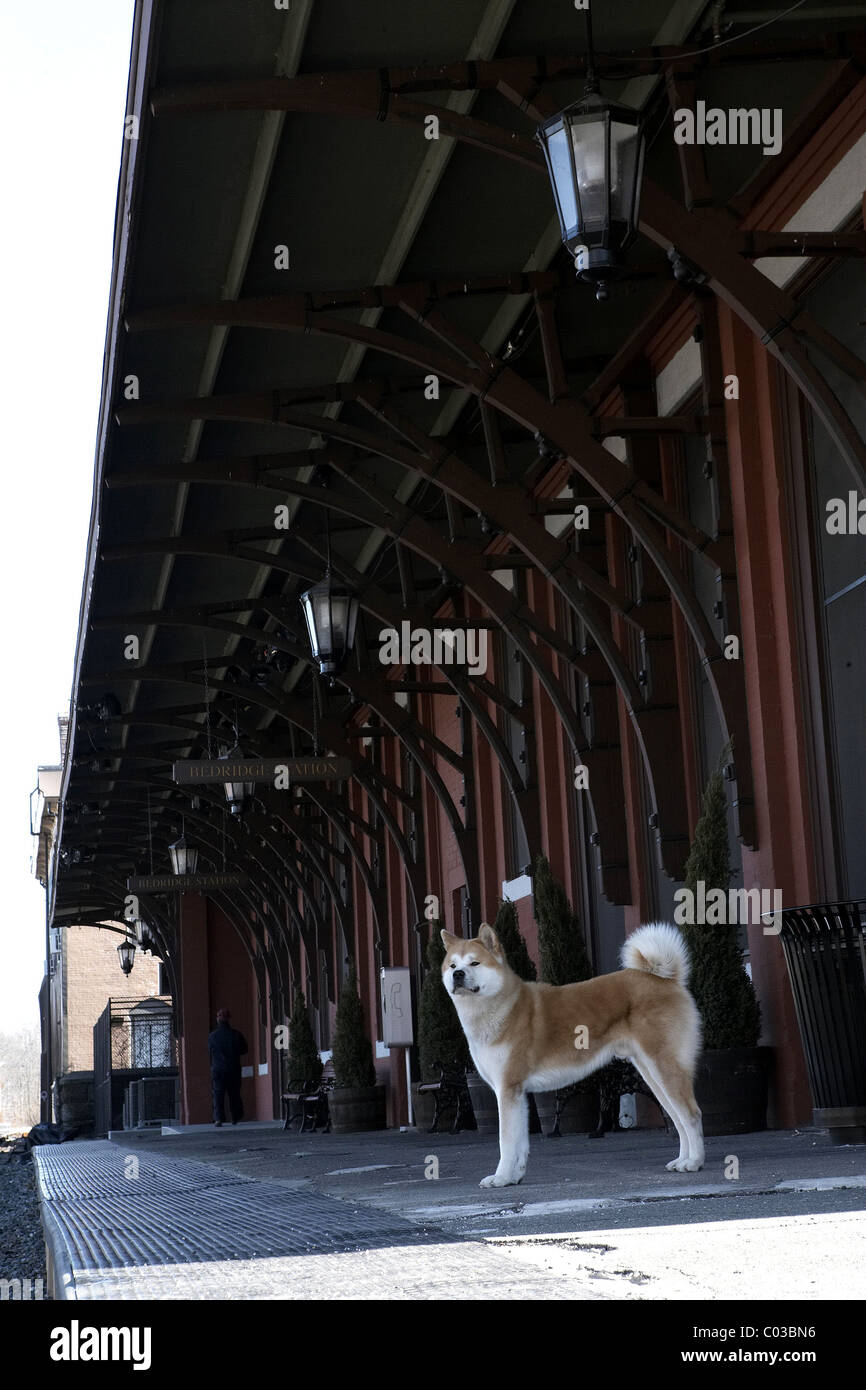Hachi Movie Stockfotos und bilder Kaufen Alamy