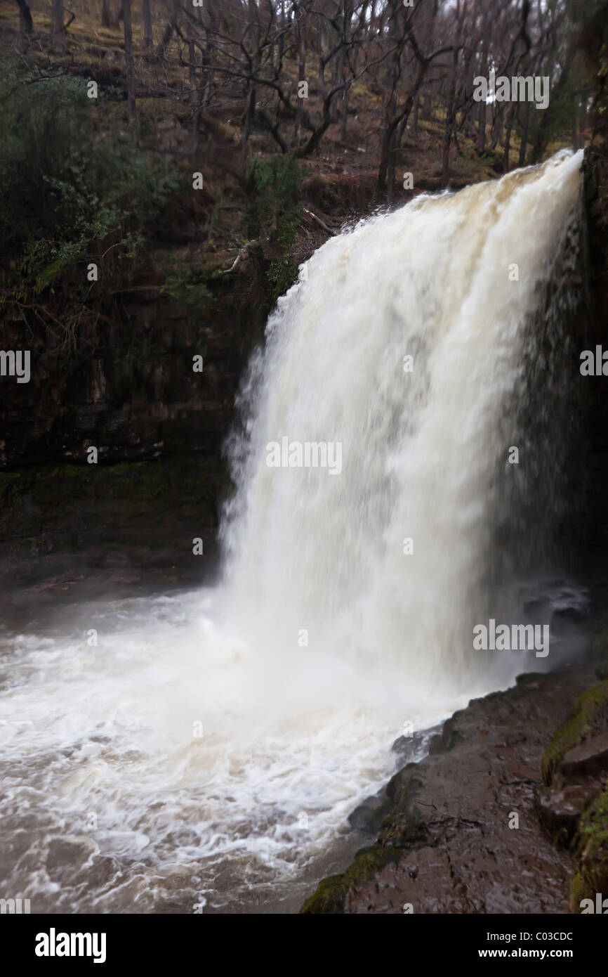 Sgwd yr Eira Wasserfall am Fluss Afon Hepste Wasserfällen gehen Powys Wales UK Stockfoto