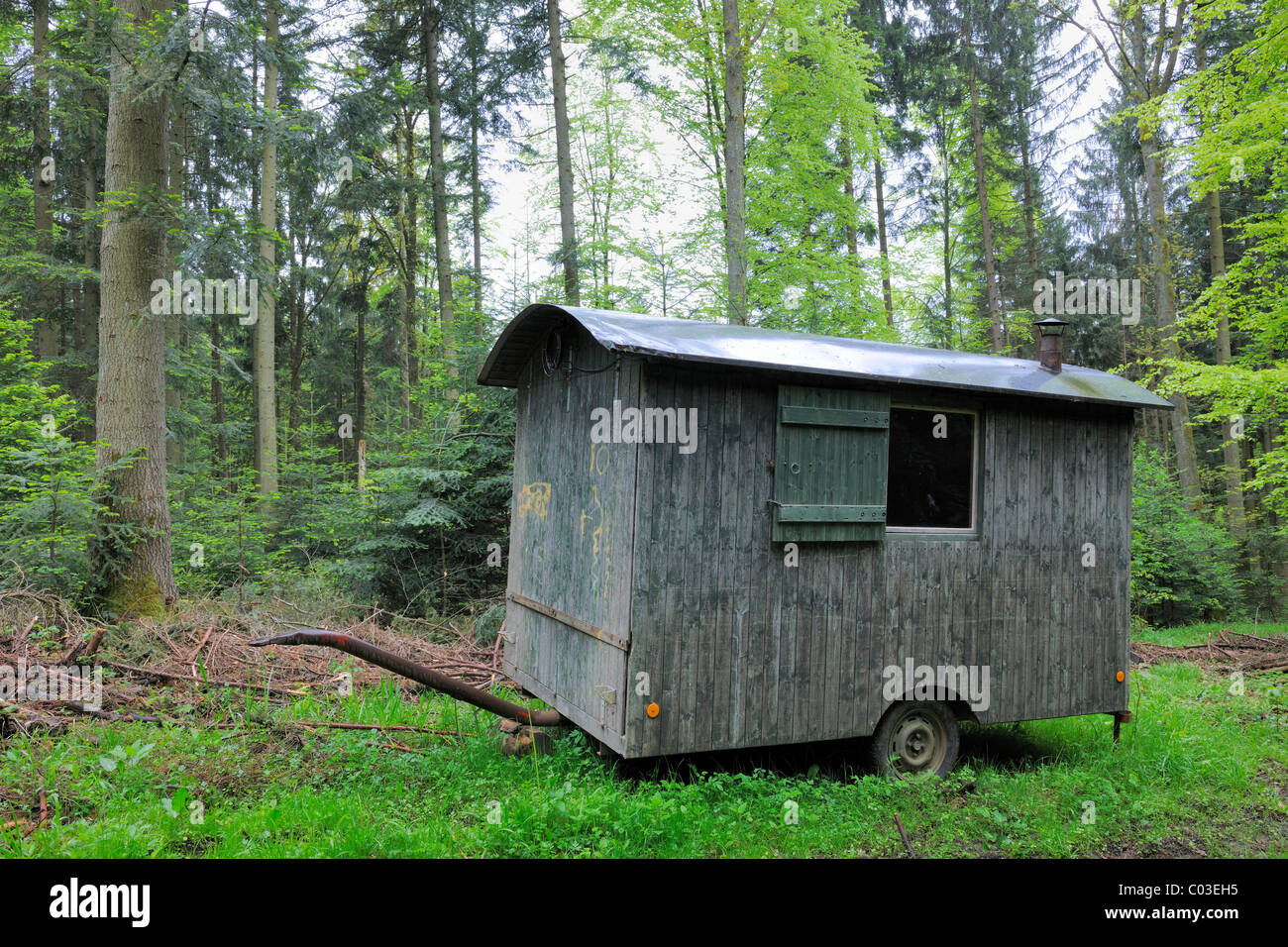 Mobile Hütte der Waldarbeiter im Wald in der Nähe von Welzheim, Baden-Württemberg, Deutschland, Europa Stockfoto