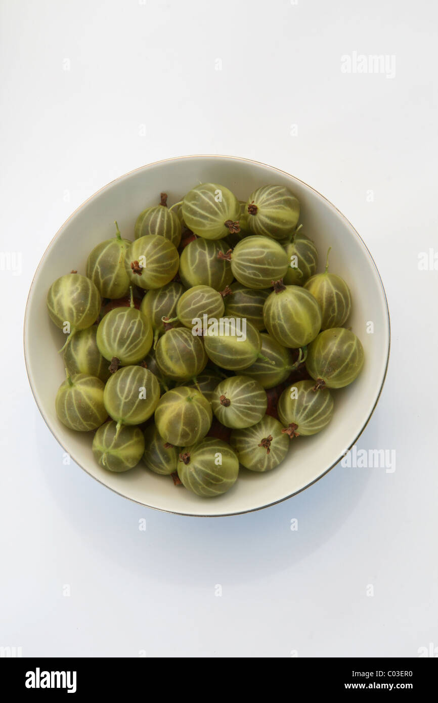 Eine Schüssel mit Stachelbeeren Stockfoto