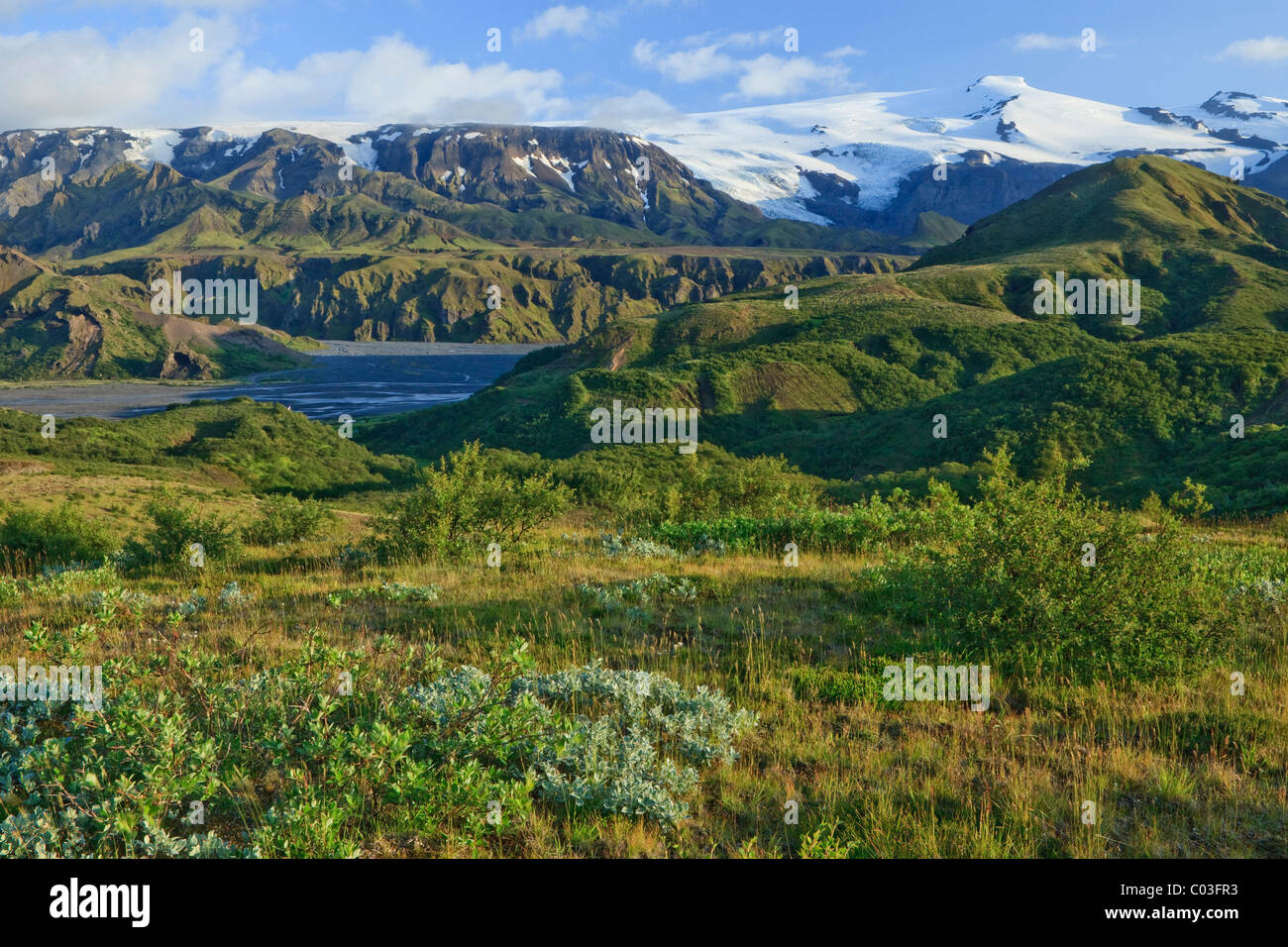 Berglandschaft, Eyjafjallajoekull Gletscher, Borsmoerk, Island, Europa Stockfoto
