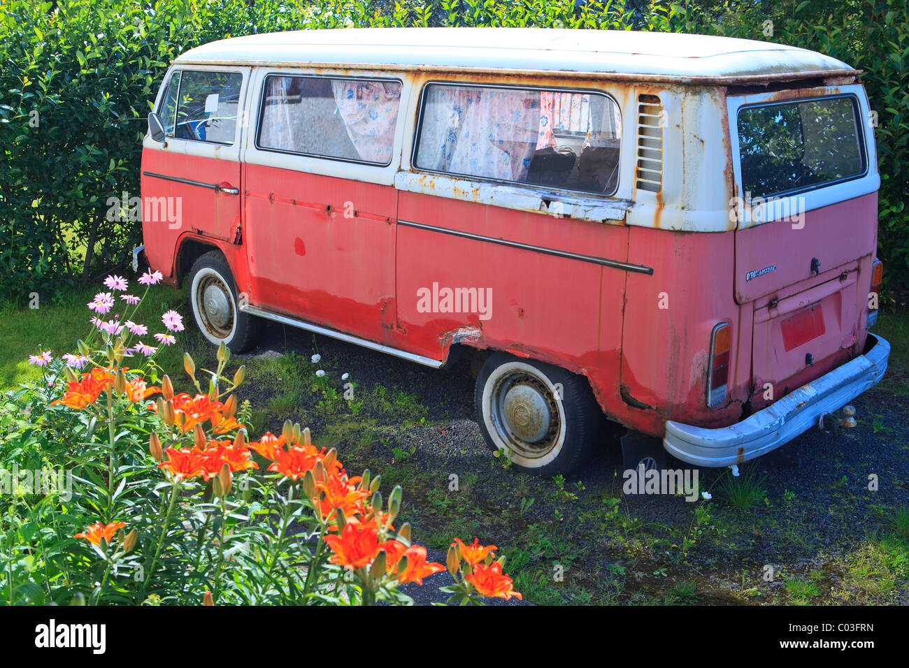 Alte rote und weiße VW-Bus, Reykjavik, Island, Europa Stockfoto