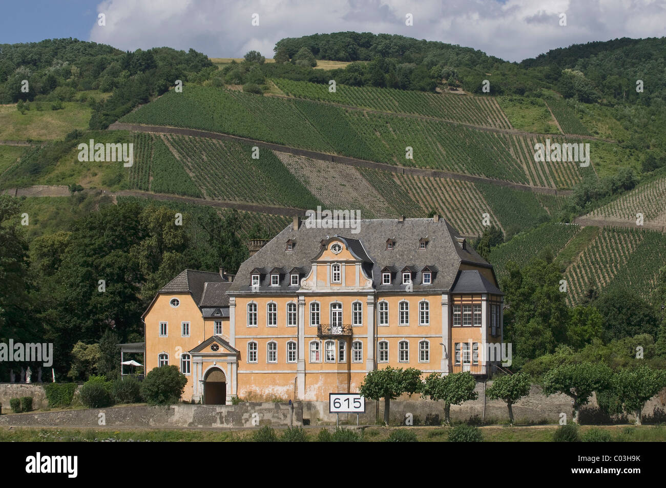 Schloss Marienburg, Barockschloss vor Weinberge, Leutesdorf, Rhein, Rheinland-Pfalz, Deutschland, Europa Stockfoto