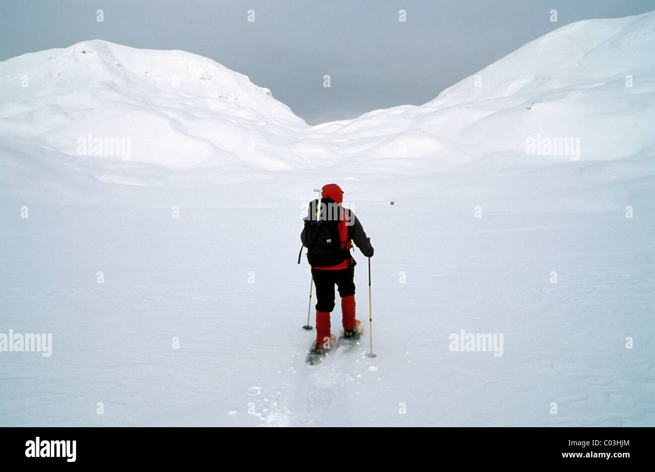 Schneeschuh-Walker auf Sennes-Plateau, Naturpark Fanes-Sennes-Prags, Dolomiten, Italien, Europa Stockfoto