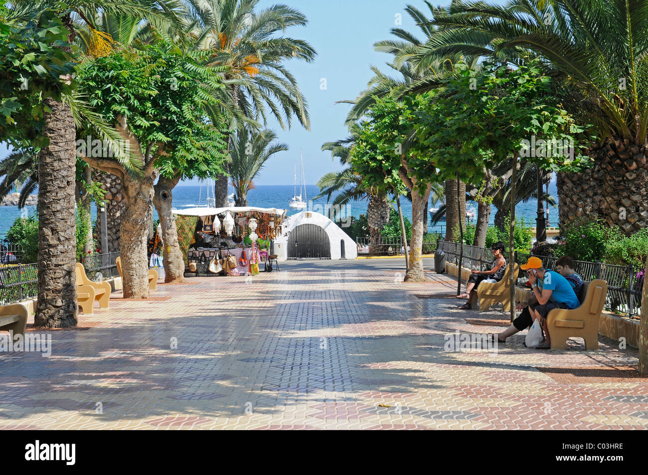 Beach Promenade, Palmen Bäume, Santa Eulalia des Riu, Ibiza, Pityusen, Balearen, Spanien, Europa Stockfoto