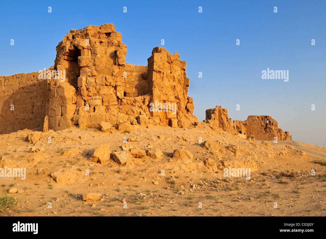 Byzantinischen Ruine von der Stadtmauer auf die archäologische Stätte von Resafa, Sergiopolis, in der Nähe des Euphrat, Syrien, Naher Osten Stockfoto