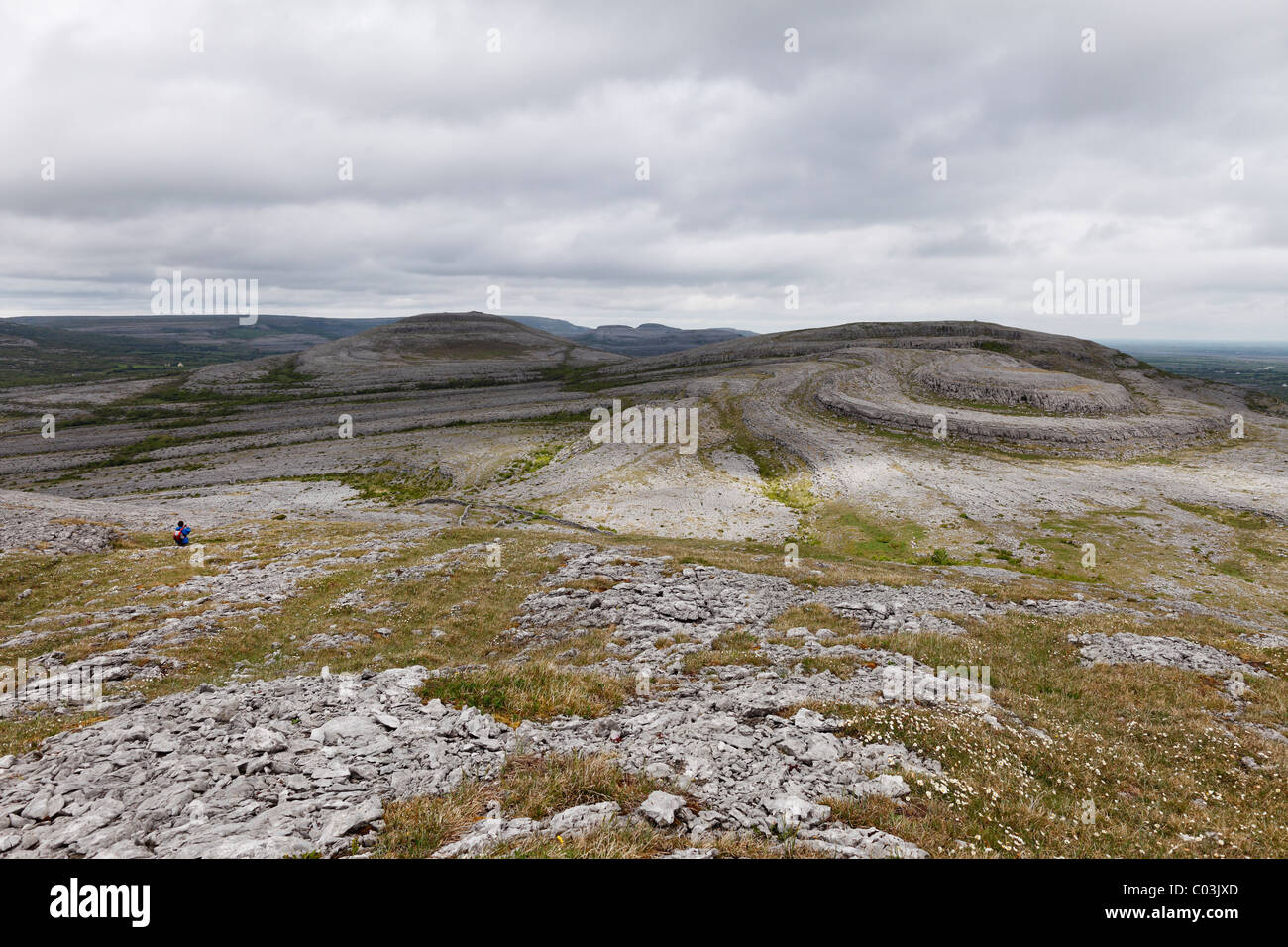 Burren Nationalpark, County Clare, Irland, Europa Stockfoto