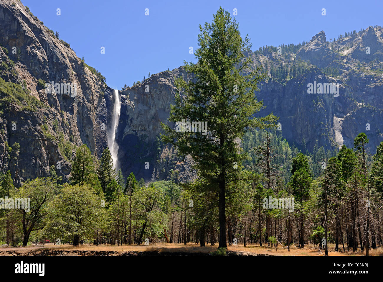 Bridalveil Falls, ein Wasserfall im Yosemite Nationalpark, Kalifornien, USA, Nordamerika Stockfoto